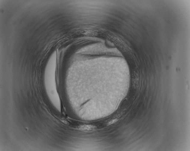 X0000083970748200703161531