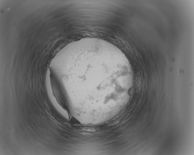 X0000083970749200703161531