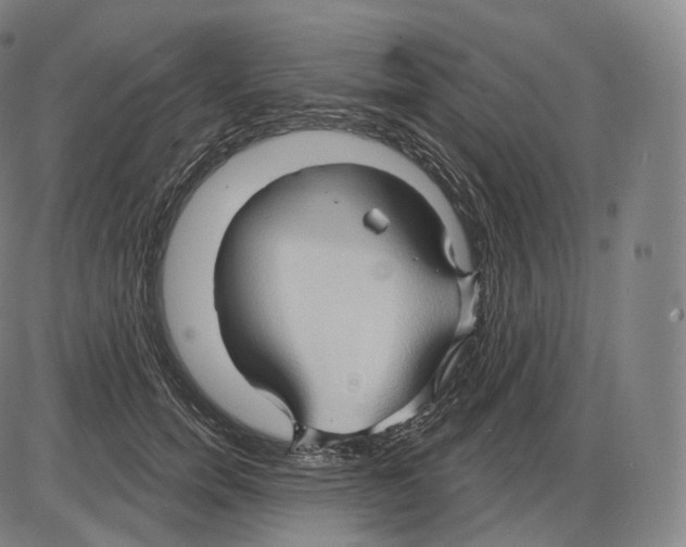 X0000083970750200703161531