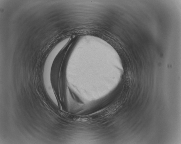 X0000083970751200703161531