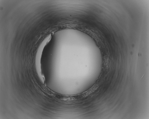 X0000083970752200703161531