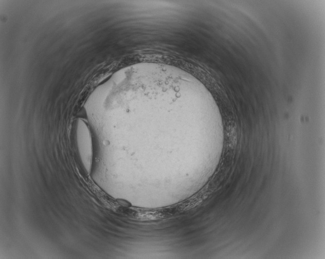 X0000083970753200703161531