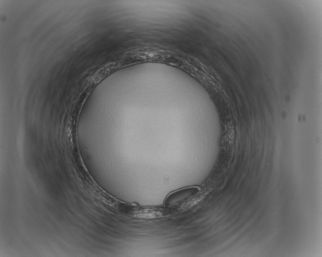 X0000083970754200703161531