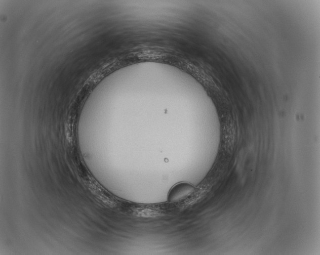 X0000083970755200703161531