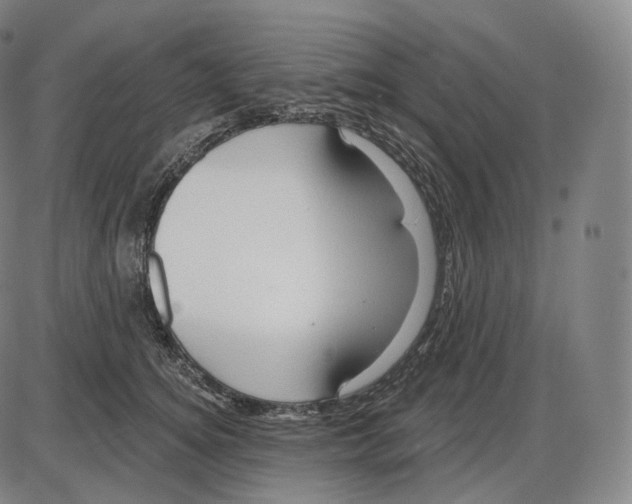 X0000083970756200703161531