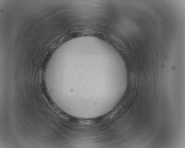 X0000083970757200703161531