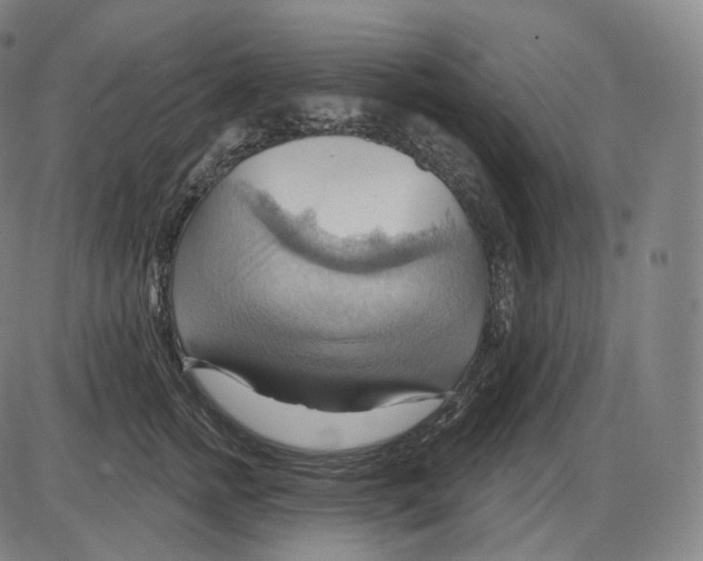 X0000083970758200703161531