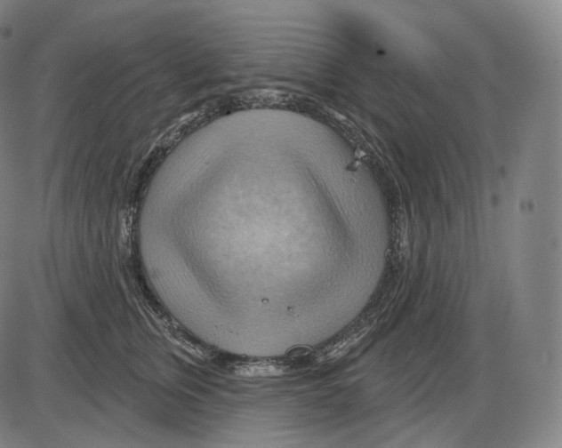 X0000083970759200703161531