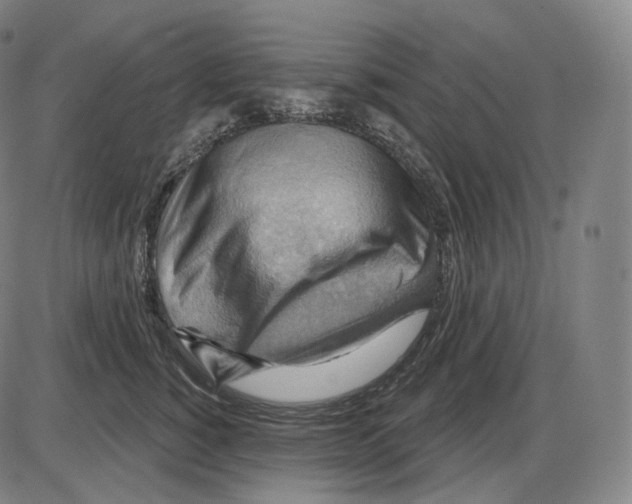 X0000083970760200703161531