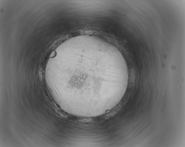 X0000083970761200703161531