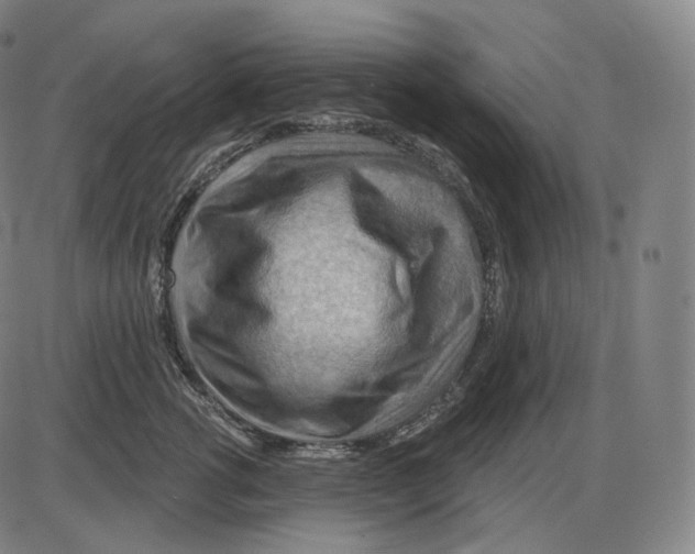 X0000083970762200703161531