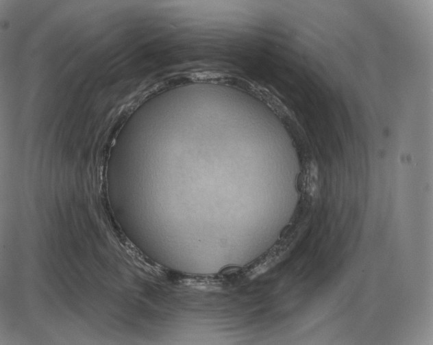 X0000083970763200703161531