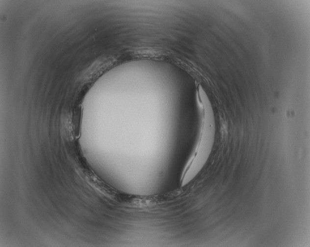 X0000083970764200703161531