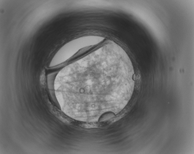 X0000083970765200703161531