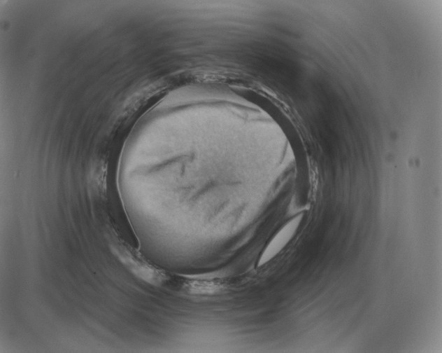 X0000083970766200703161531