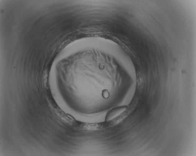 X0000083970767200703161531