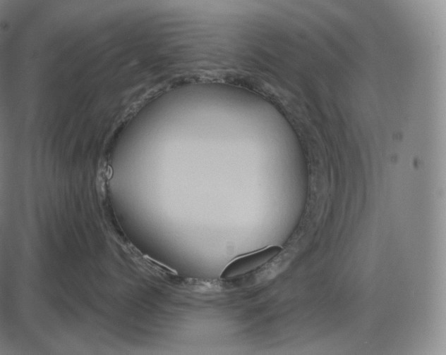 X0000083970768200703161531