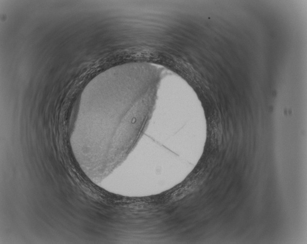 X0000083970769200703161530