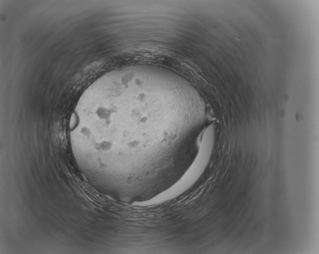 X0000083970771200703161530