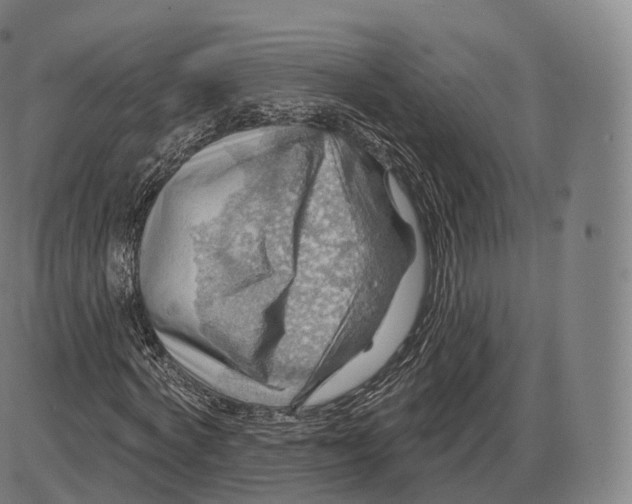 X0000083970772200703161530