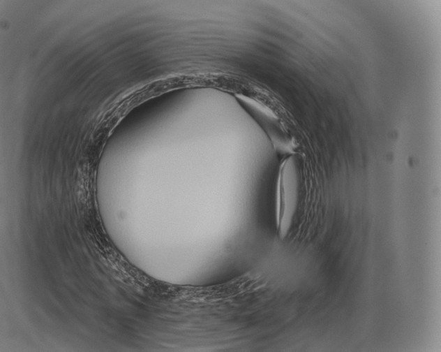 X0000083970773200703161530