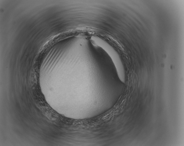 X0000083970776200703161530