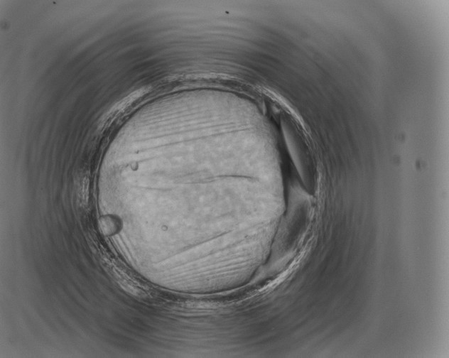 X0000083970777200703161530