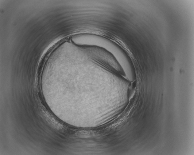 X0000083970780200703161530