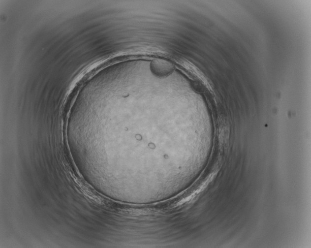 X0000083970781200703161530