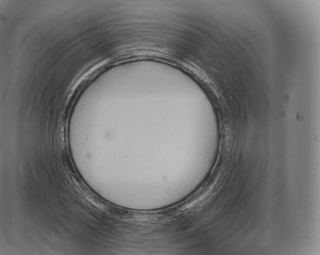 X0000083970782200703161530