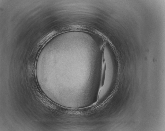 X0000083970785200703161530