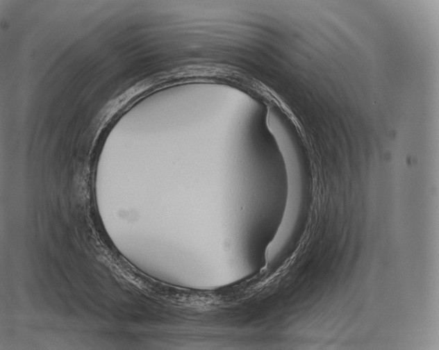 X0000083970786200703161530