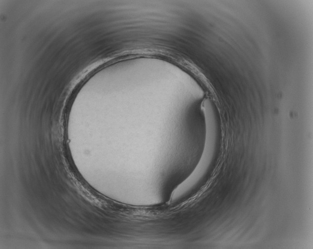 X0000083970787200703161530