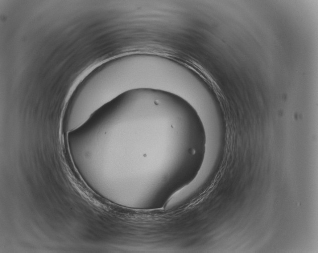 X0000083970788200703161530