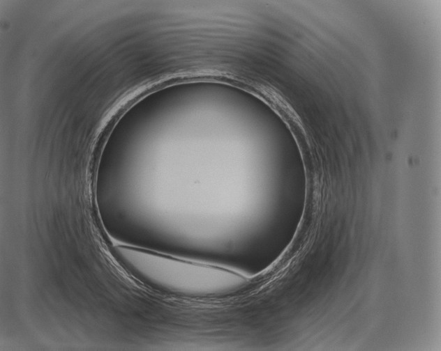 X0000083970789200703161530