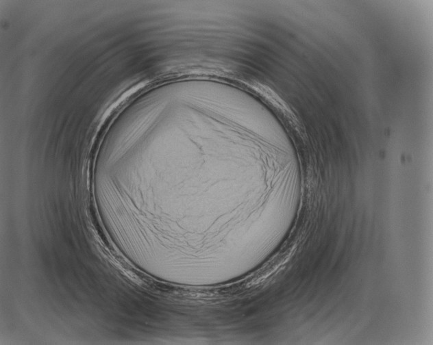 X0000083970790200703161530