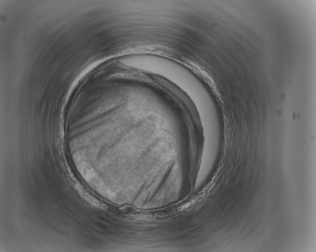 X0000083970792200703161530