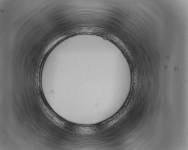 X0000083970794200703161530