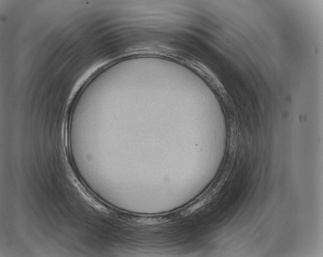 X0000083970796200703161530