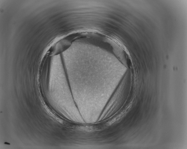 X0000083970797200703161530