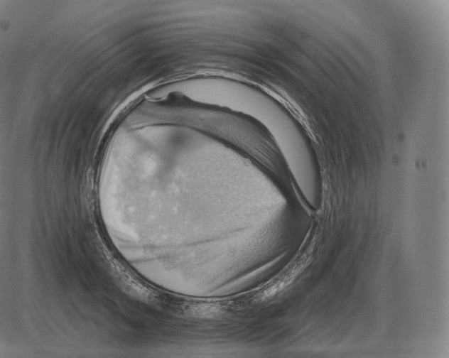 X0000083970798200703161530