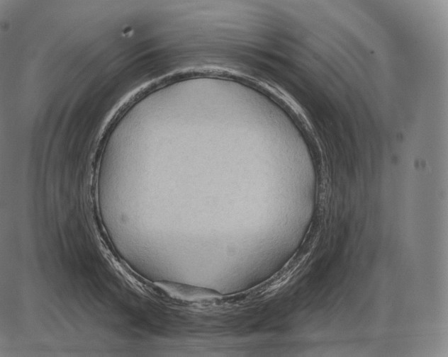 X0000083970799200703161530