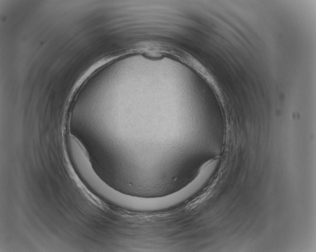 X0000083970803200703161530