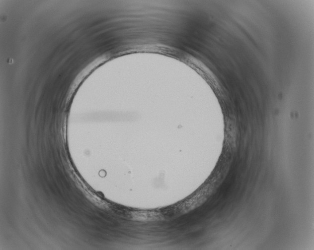 X0000083970804200703161530