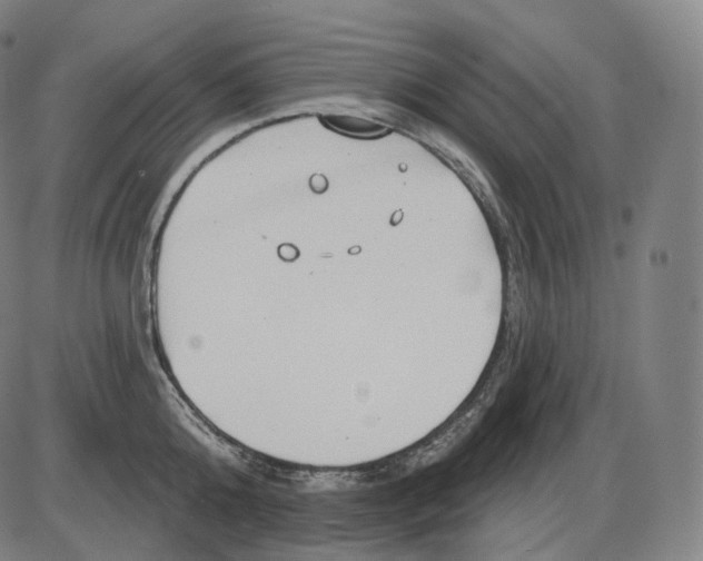 X0000083970808200703161530