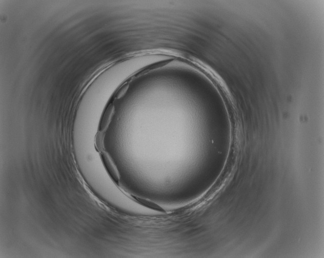 X0000083970809200703161530