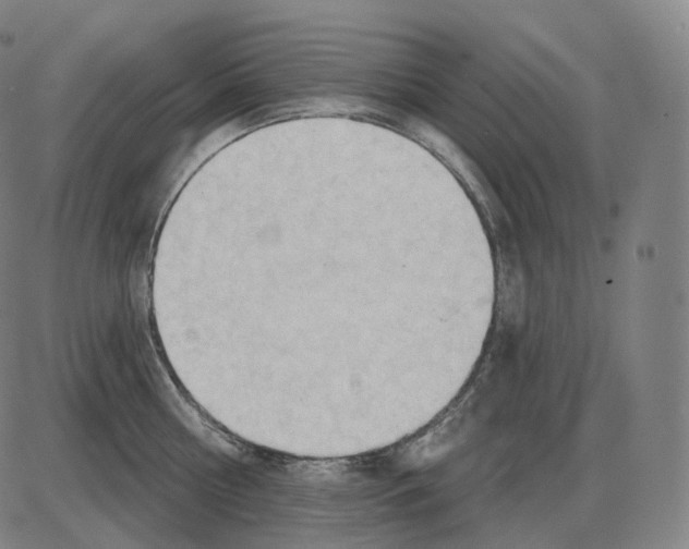 X0000083970810200703161530