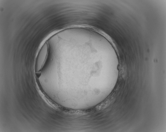 X0000083970811200703161530