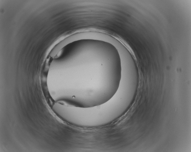 X0000083970813200703161530