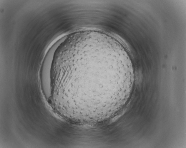 X0000083970814200703161529